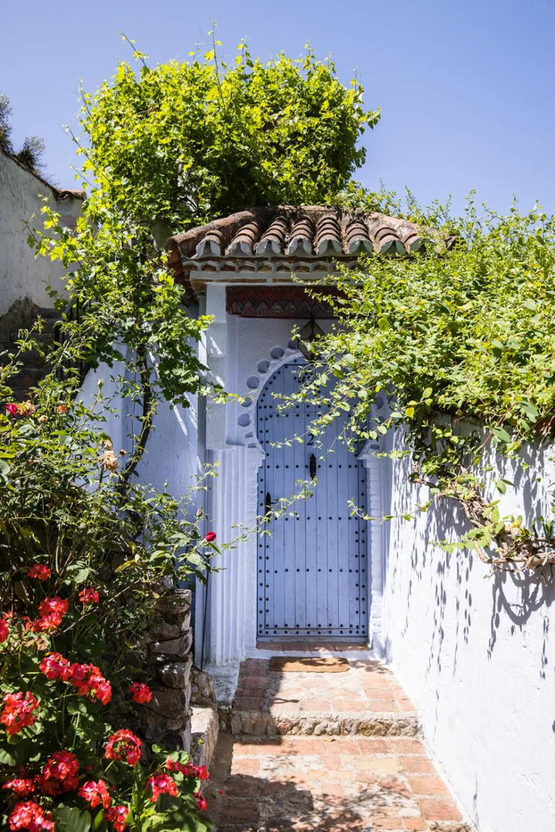A blue door in a whitewashed wall, framed by climbing roses