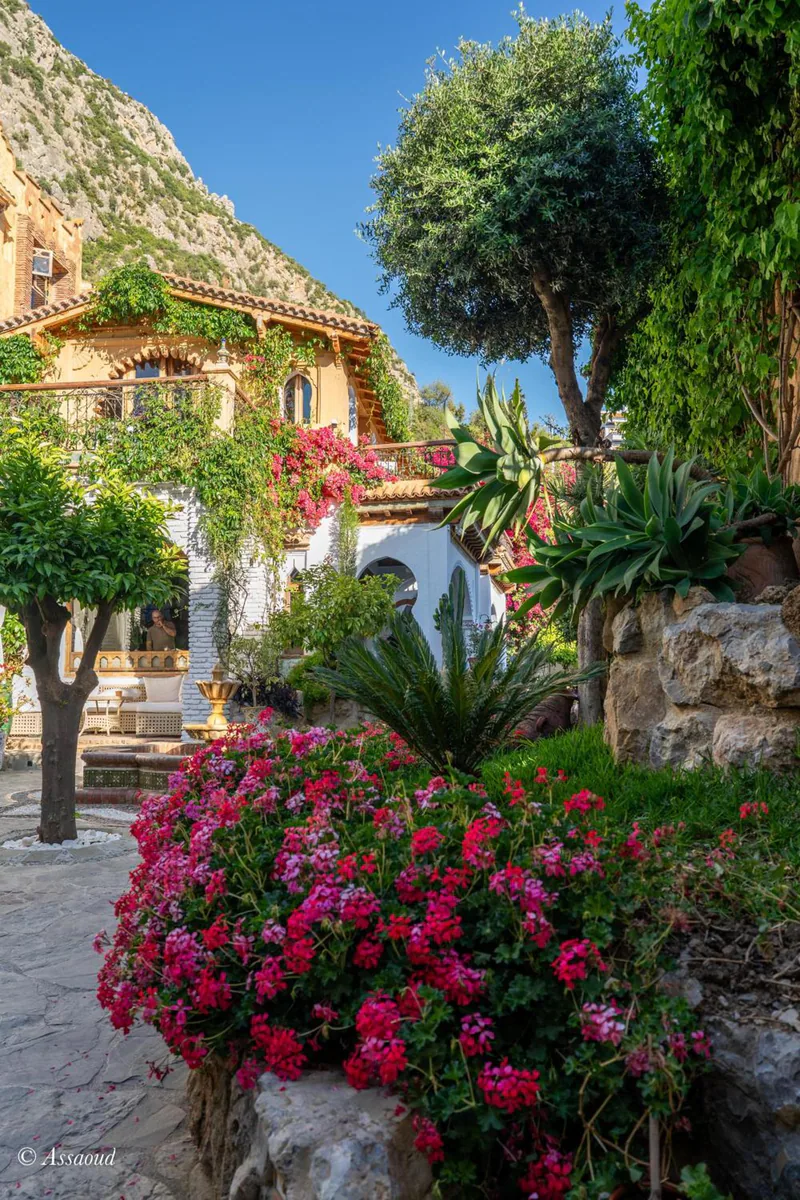 A stone path through the garden, lined with bougainvillea and cypress