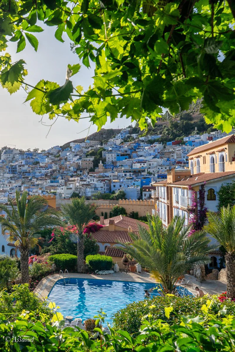 The riad pool and garden on the hillside, looking out over the blue houses of Chefchaouen and the Rif mountains