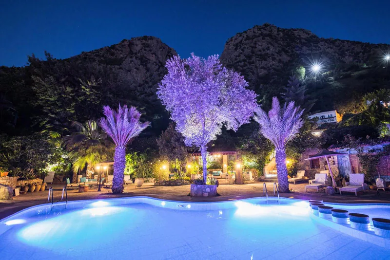 The outdoor pool at night, lit blue beneath illuminated trees and the mountain